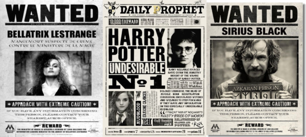 Caneca Harry Potter Jornal